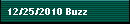 12/25/2010 Buzz
