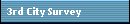 3rd City Survey