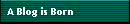 A Blog is Born