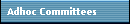 Adhoc Committees