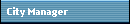 City Manager