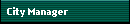 City Manager