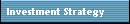 Investment Strategy