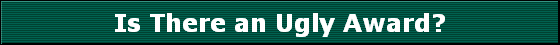 Is There an Ugly Award?