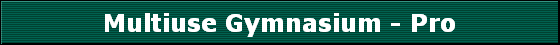 Multiuse Gymnasium - Pro