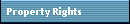 Property Rights