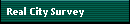 Real City Survey