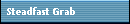 Steadfast Grab